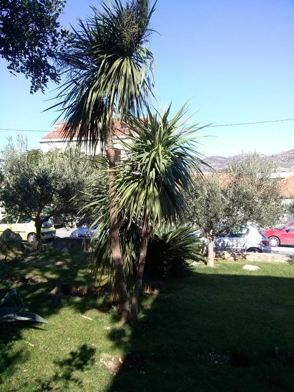 Private Accommodation Carevic Dubrovnik Exterior foto